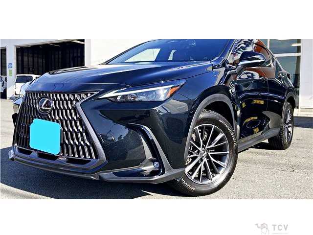 2023 Lexus NX