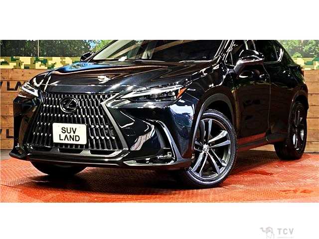 2023 Lexus NX
