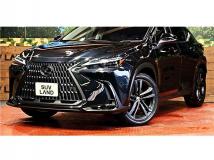 2023 Lexus NX