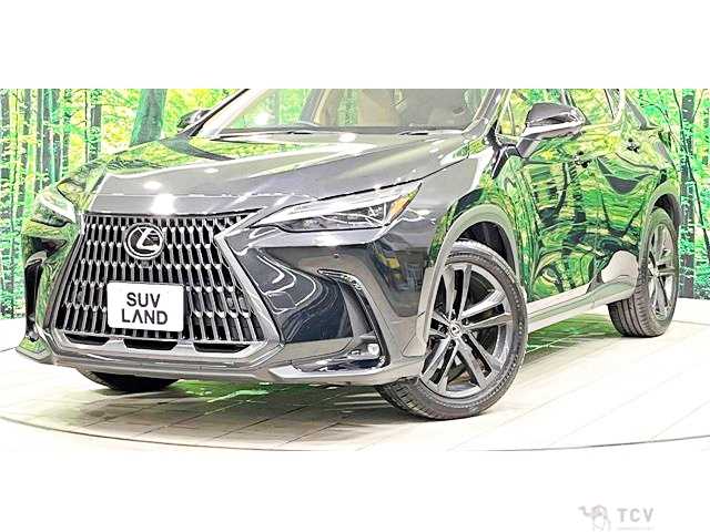 2023 Lexus NX