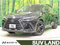 2023 Lexus NX