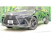 2023 Lexus NX