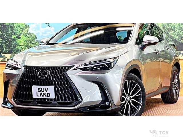 2023 Lexus NX