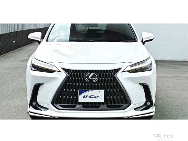 2023 Lexus NX