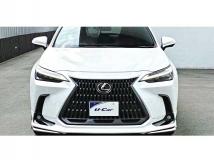 2023 Lexus NX