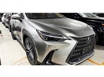2023 Lexus NX