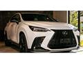 2023 Lexus NX
