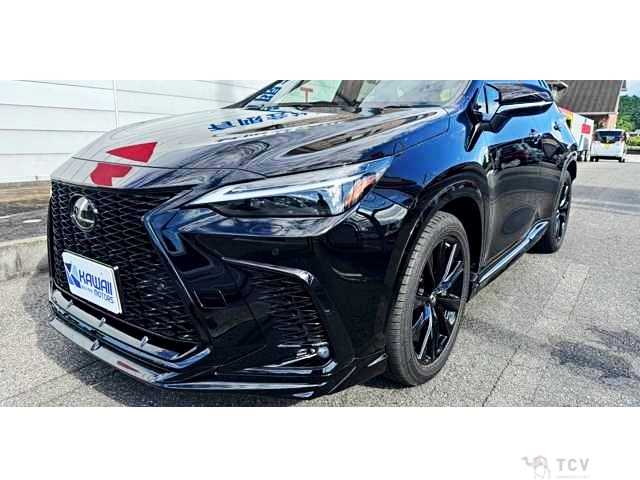 2023 Lexus NX