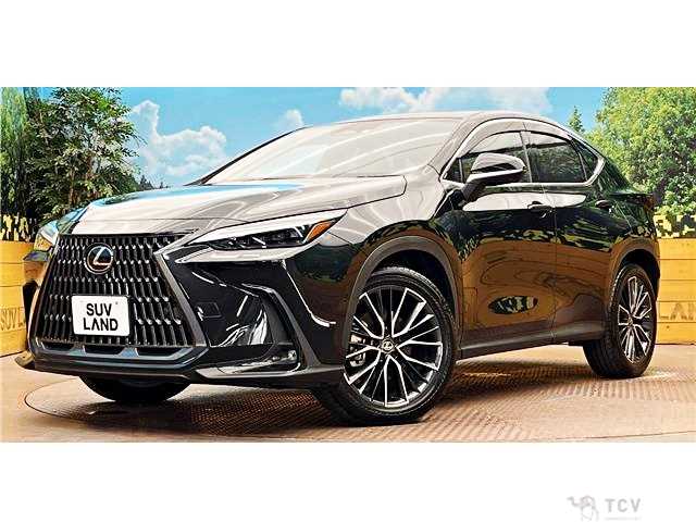2023 Lexus NX