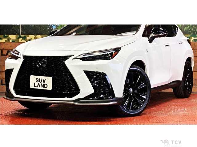 2023 Lexus NX