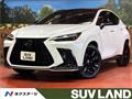 2023 Lexus NX