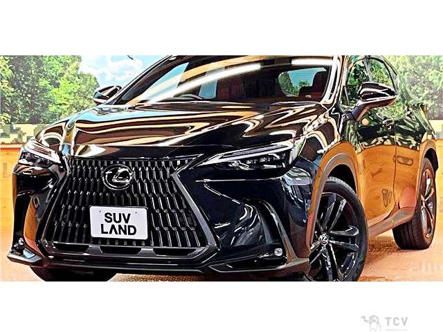 2023 Lexus NX