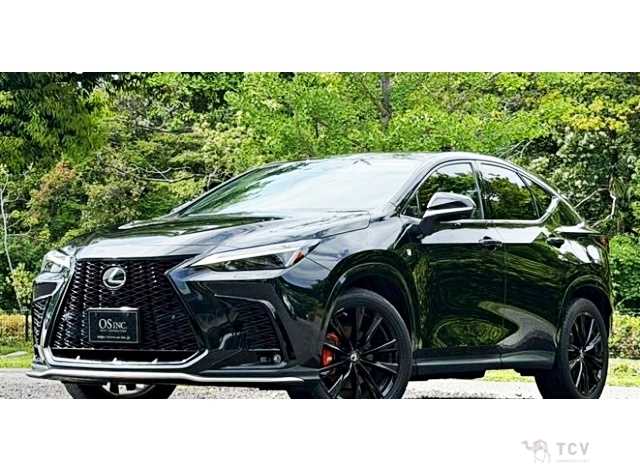 2023 Lexus NX