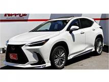 2023 Lexus NX