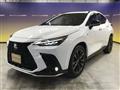 2023 Lexus NX