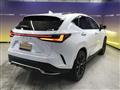 2023 Lexus NX