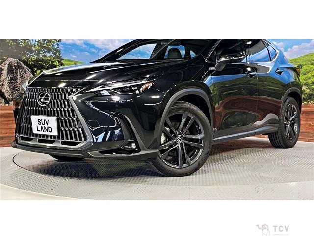 2023 Lexus NX