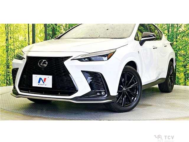 2023 Lexus NX
