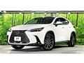 2023 Lexus NX