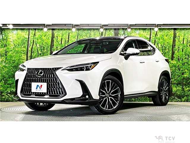 2023 Lexus NX