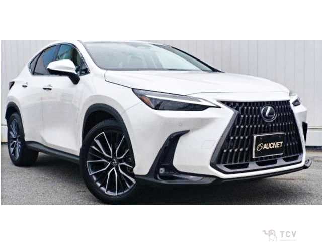 2023 Lexus NX