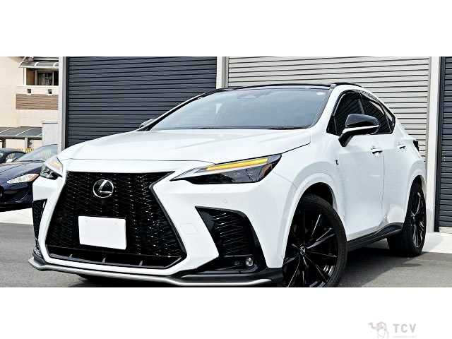 2023 Lexus NX