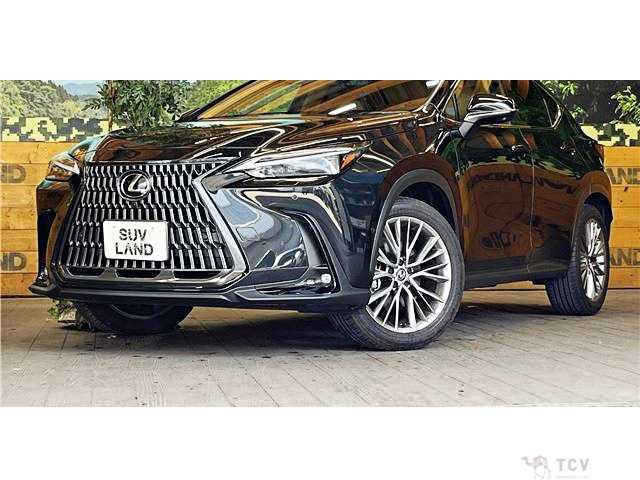 2023 Lexus NX