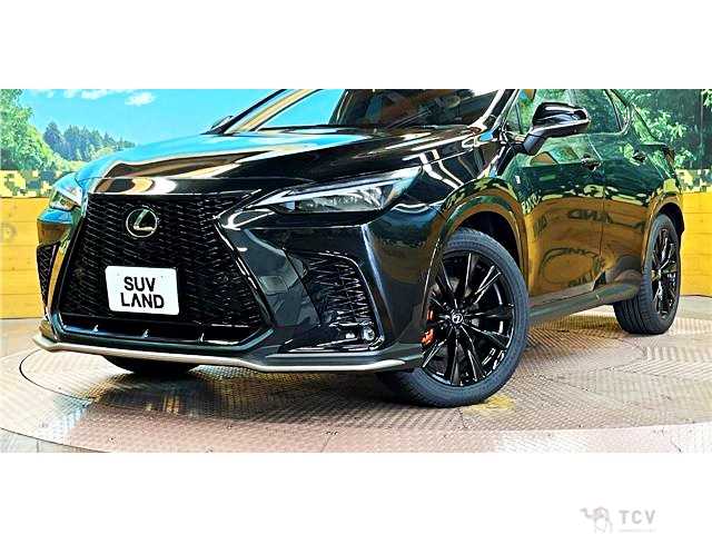 2023 Lexus NX