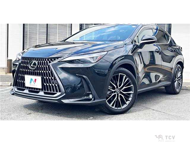 2023 Lexus NX