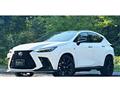 2023 Lexus NX