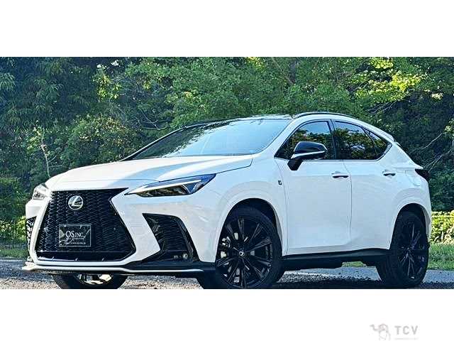 2023 Lexus NX