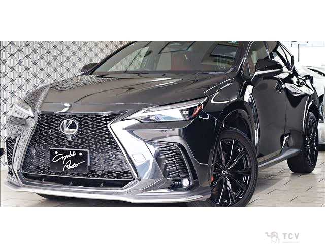 2023 Lexus NX