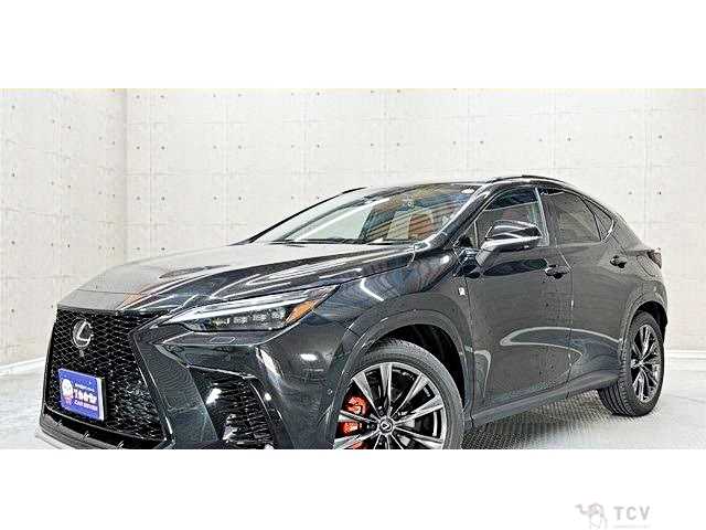 2023 Lexus NX