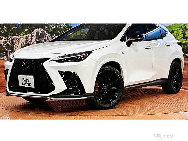 2023 Lexus NX