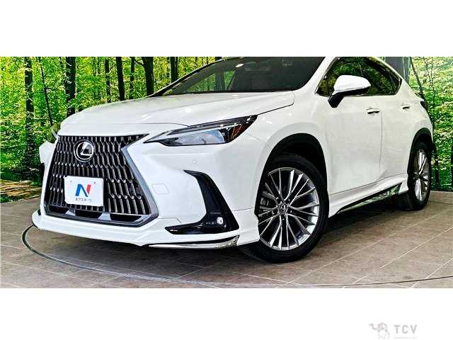 2023 Lexus NX
