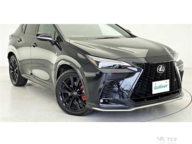2023 Lexus NX