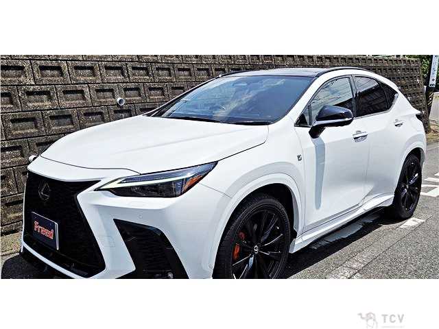 2023 Lexus NX
