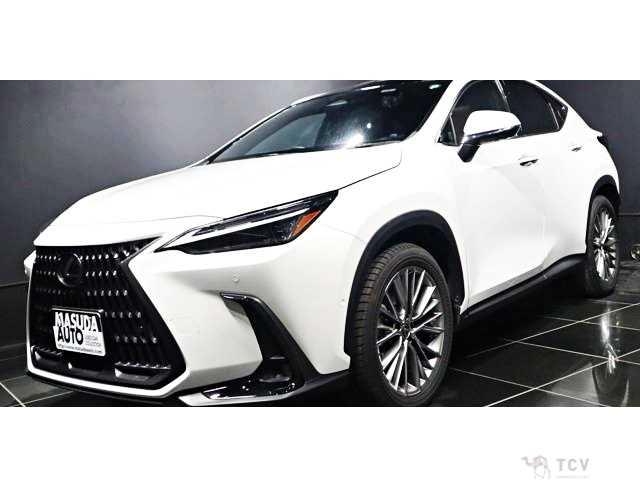 2023 Lexus NX