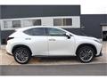 2023 Lexus NX