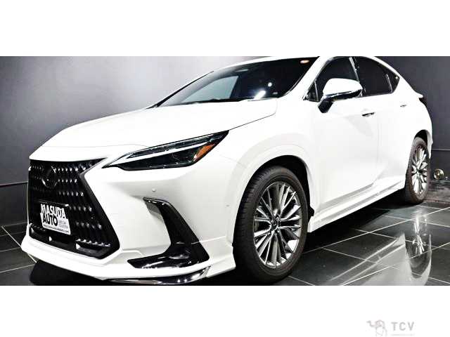2023 Lexus NX