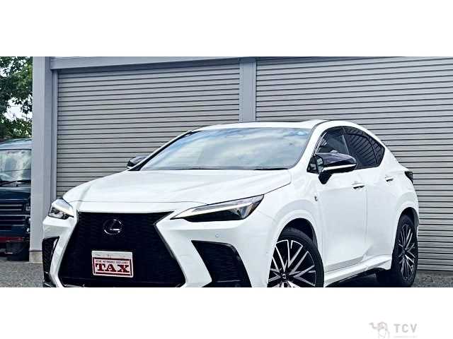 2023 Lexus NX