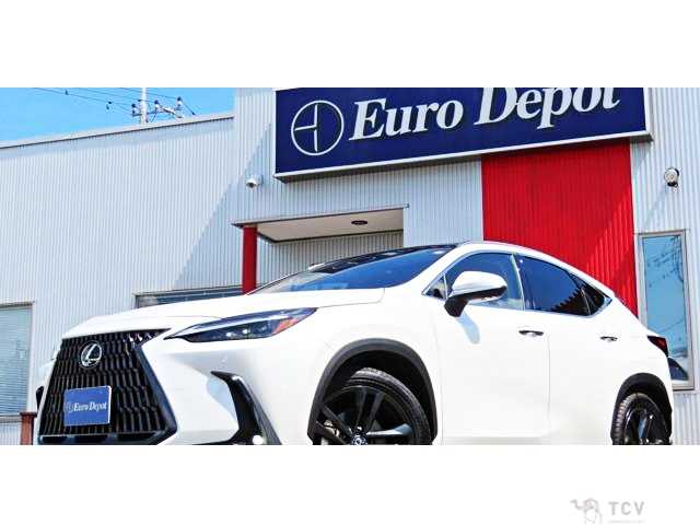 2023 Lexus NX