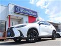 2023 Lexus NX