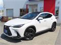 2023 Lexus NX