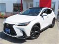 2023 Lexus NX