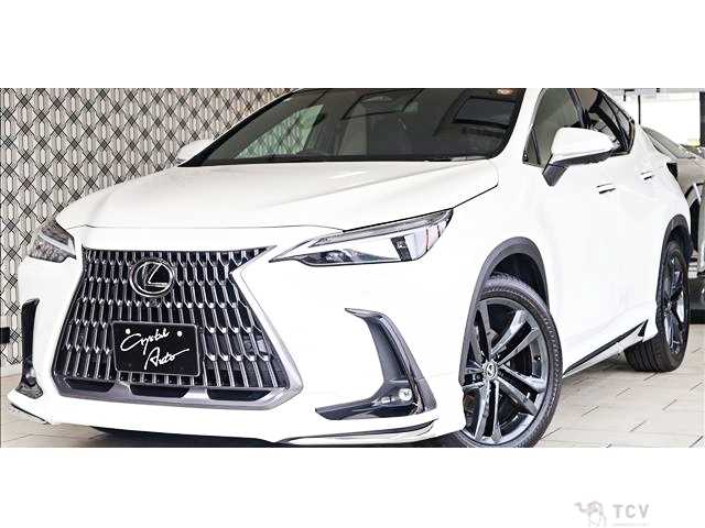 2023 Lexus NX