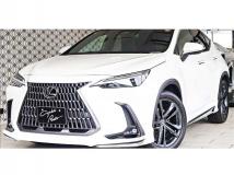 2023 Lexus NX