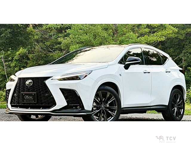2023 Lexus NX
