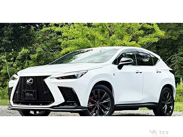 2023 Lexus NX