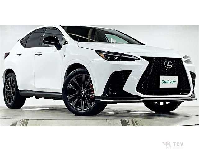 2023 Lexus NX